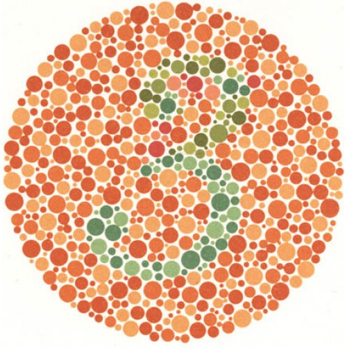 Ishihara Color Blindness Testing Book (14 Plate)