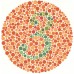 Ishihara Color Blindness Testing Book (14 Plate)