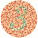 Ishihara Color Blindness Testing Book (14 Plate)